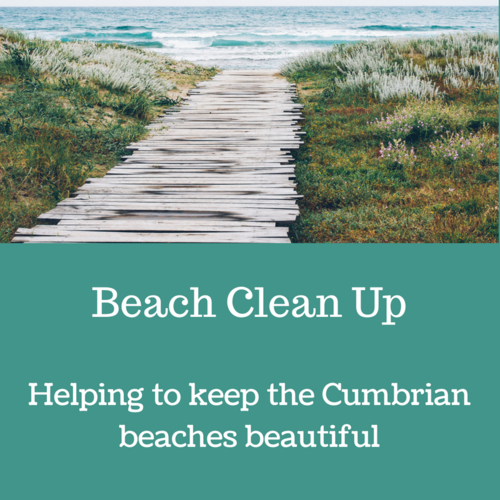 Beach+clean.png