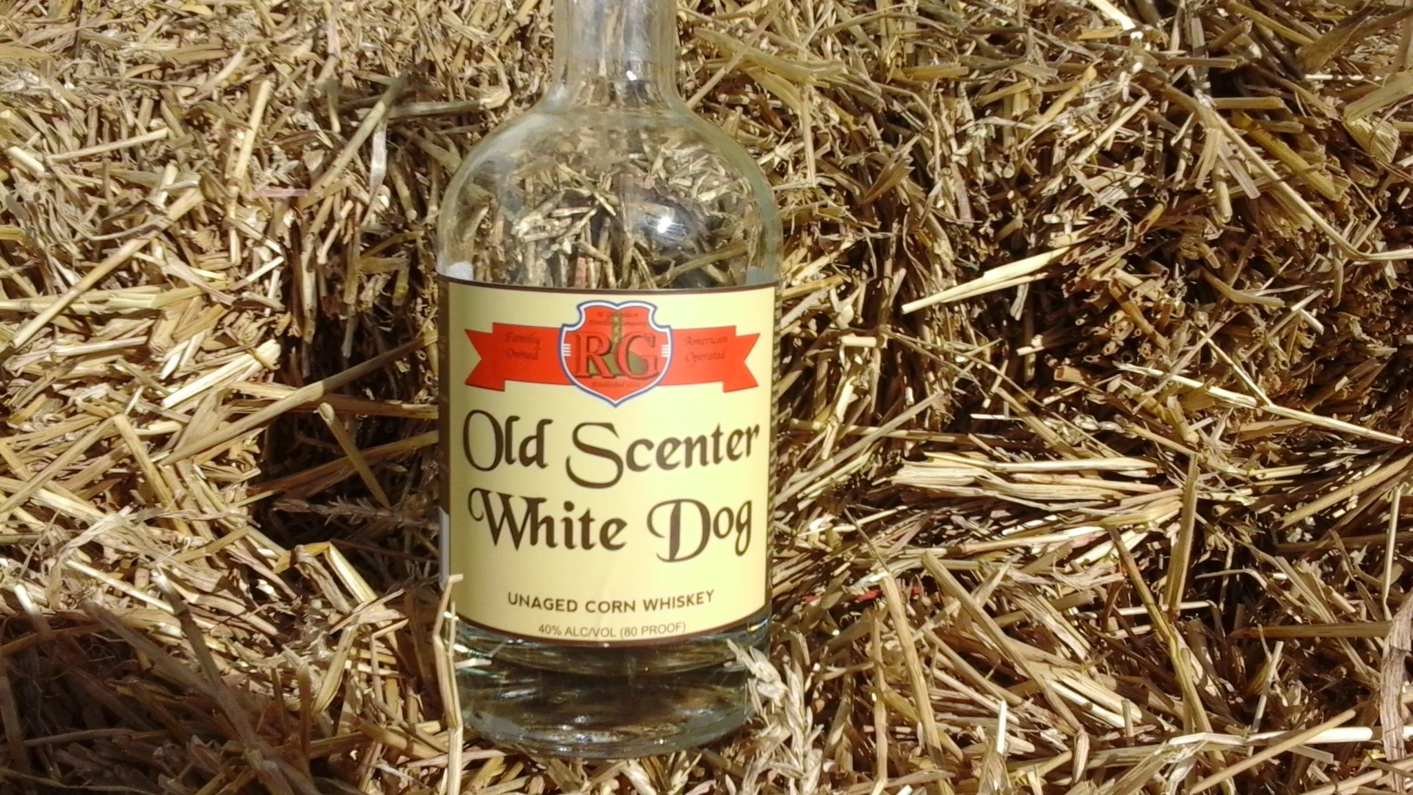 2015-10-26 11.37.35.jpg