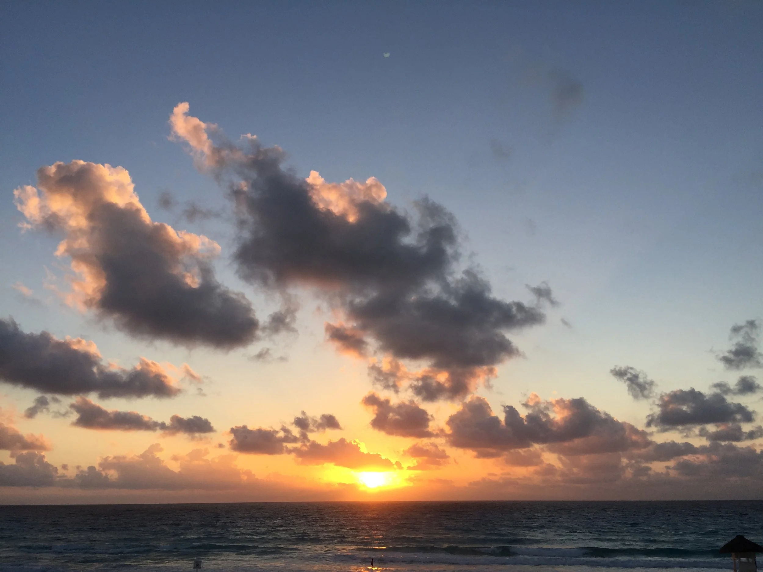 Japa Jamaica in June