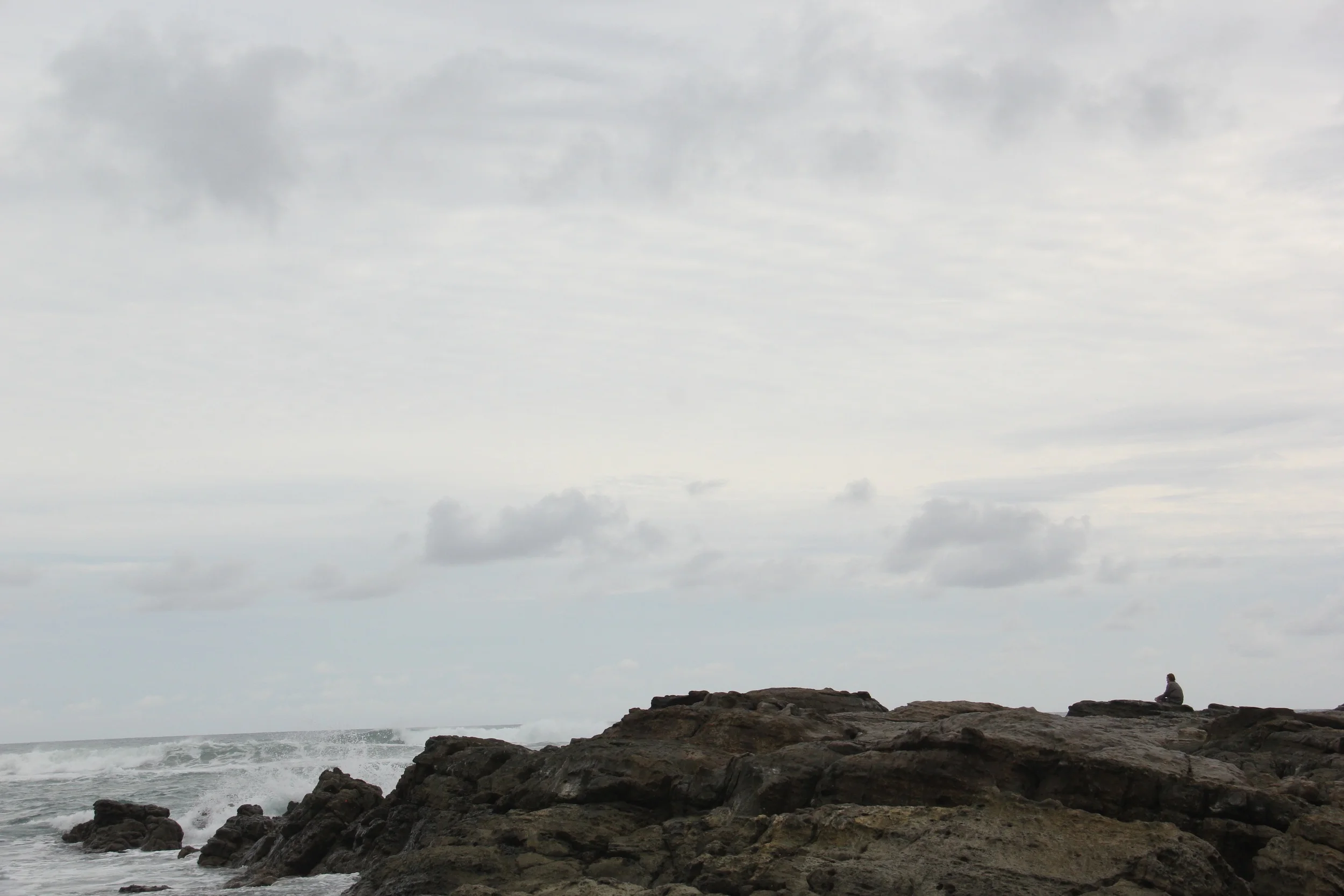 Foto: AlasdeOrquidea | Costa Rica 2015