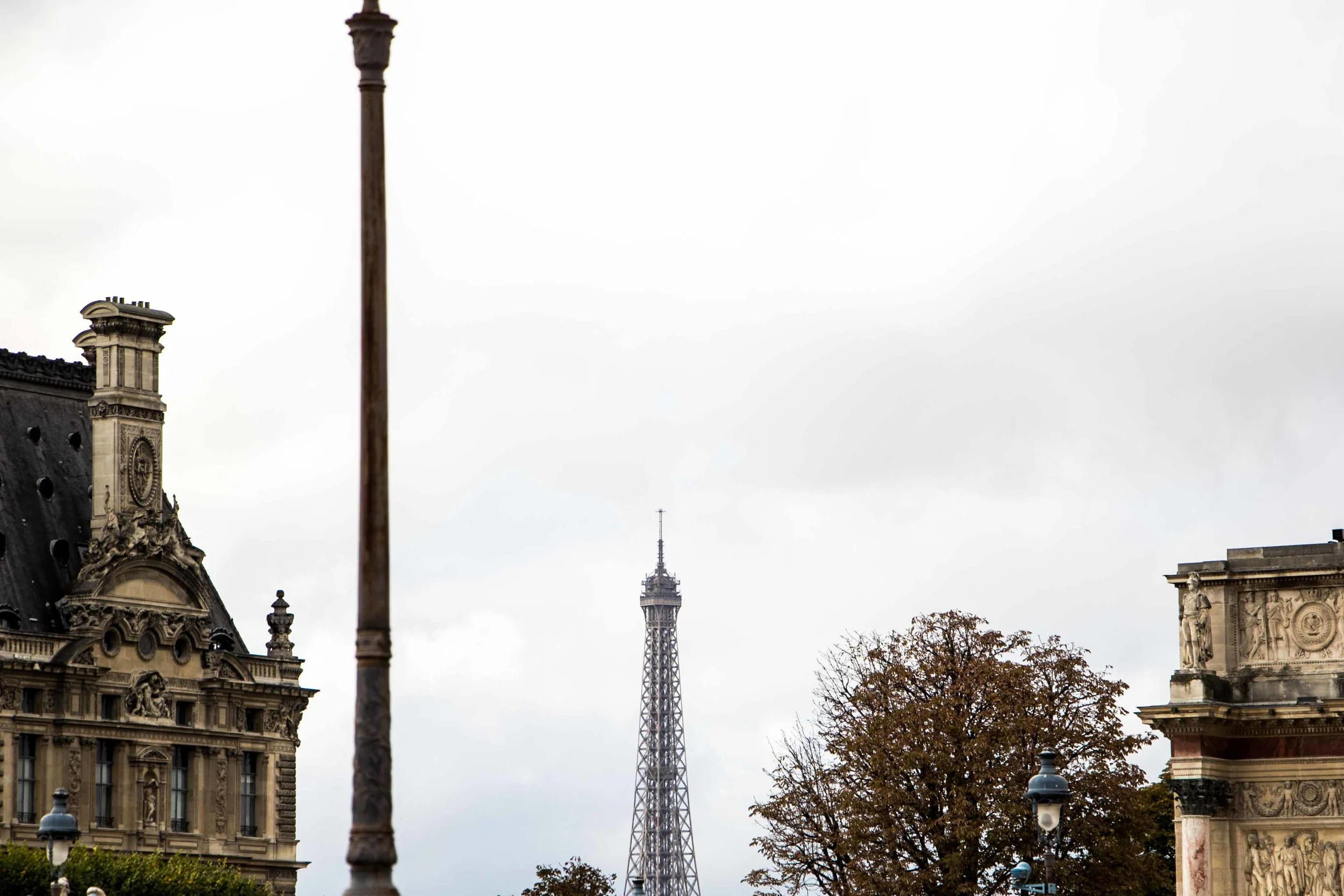 ©OnceUponsFairyDog IMG_5722_.jpg