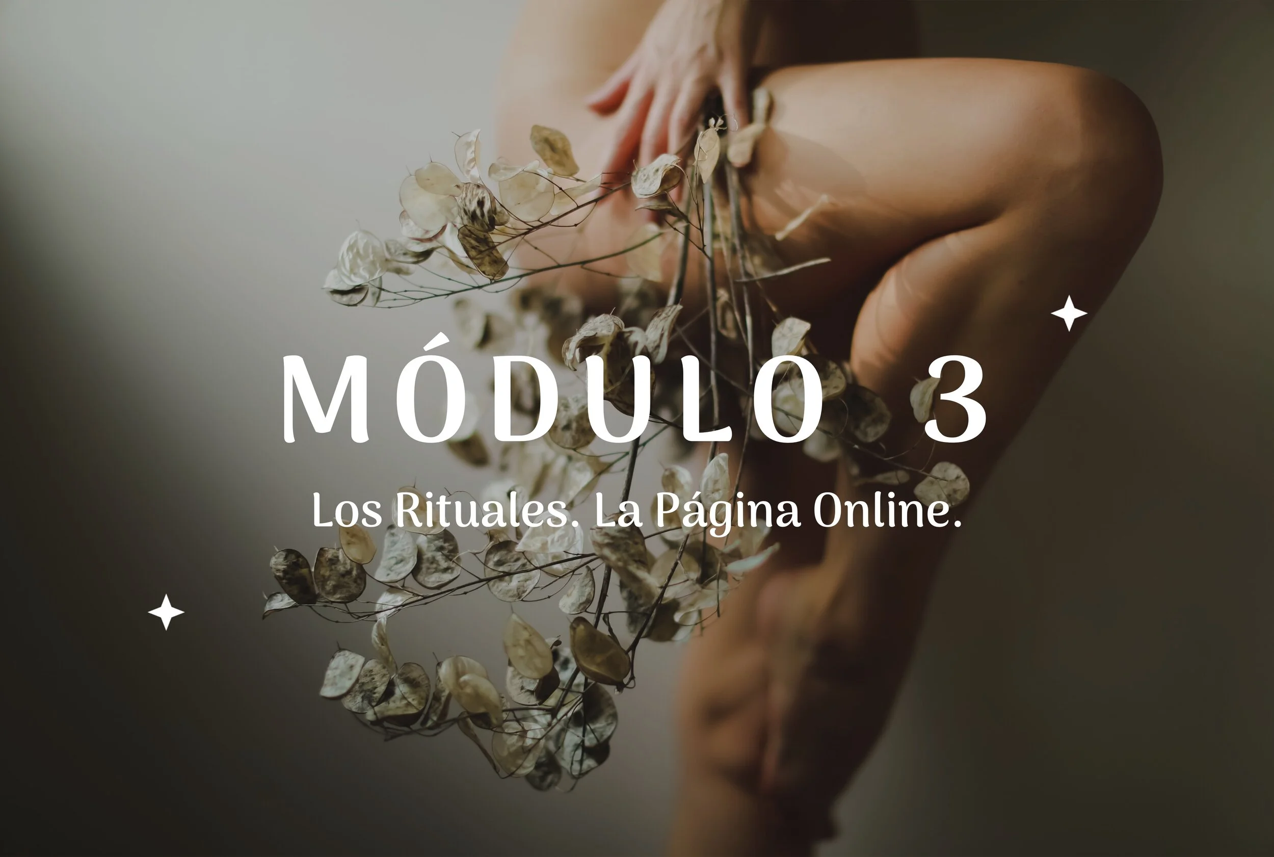 Módulo 3: Los rituales. La Plataforma Online.