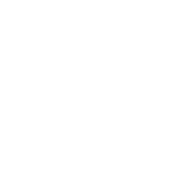 Revolución Roja