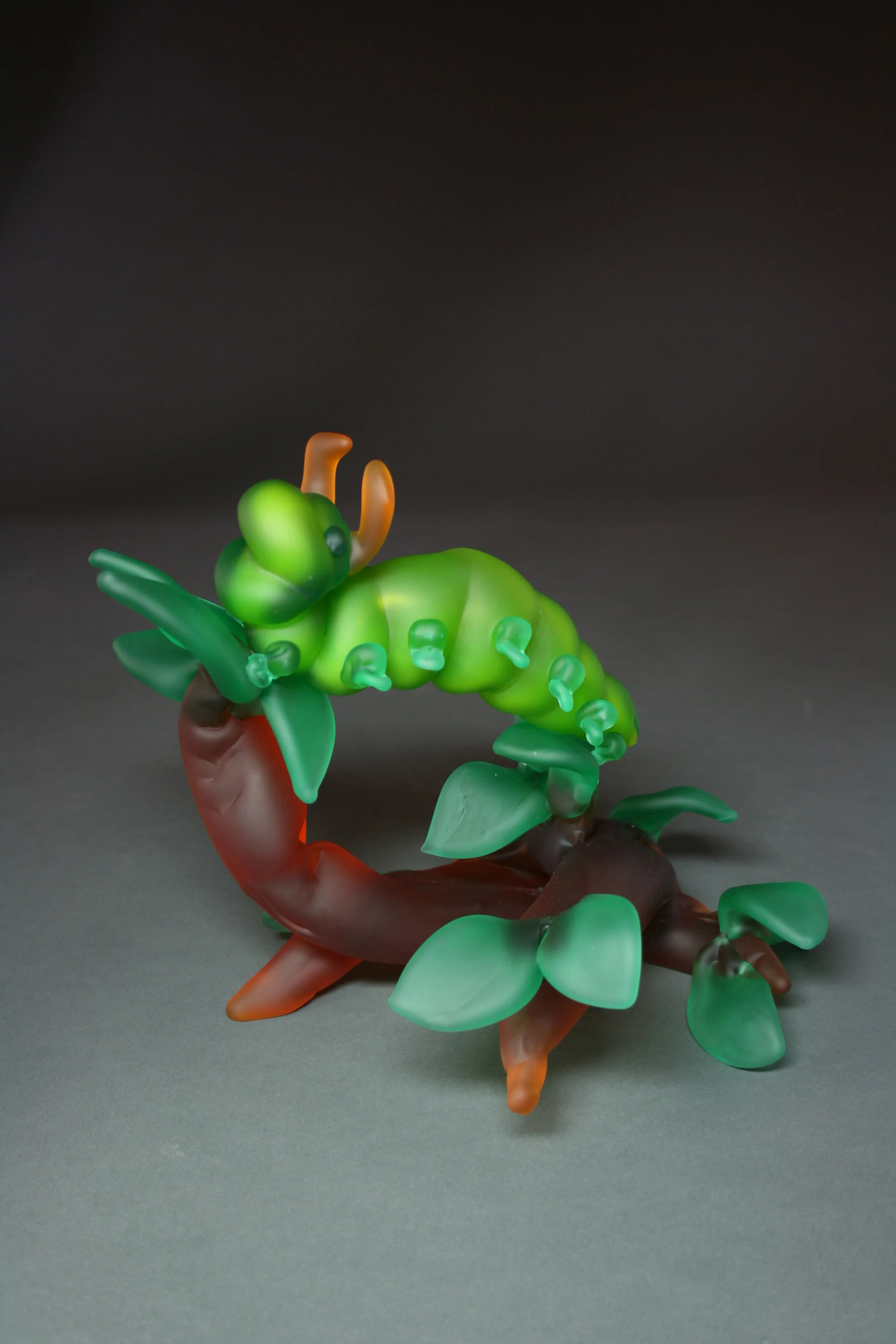 Caterpillar #13.JPG