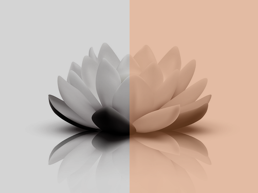 lotus-bw-split-tone.png