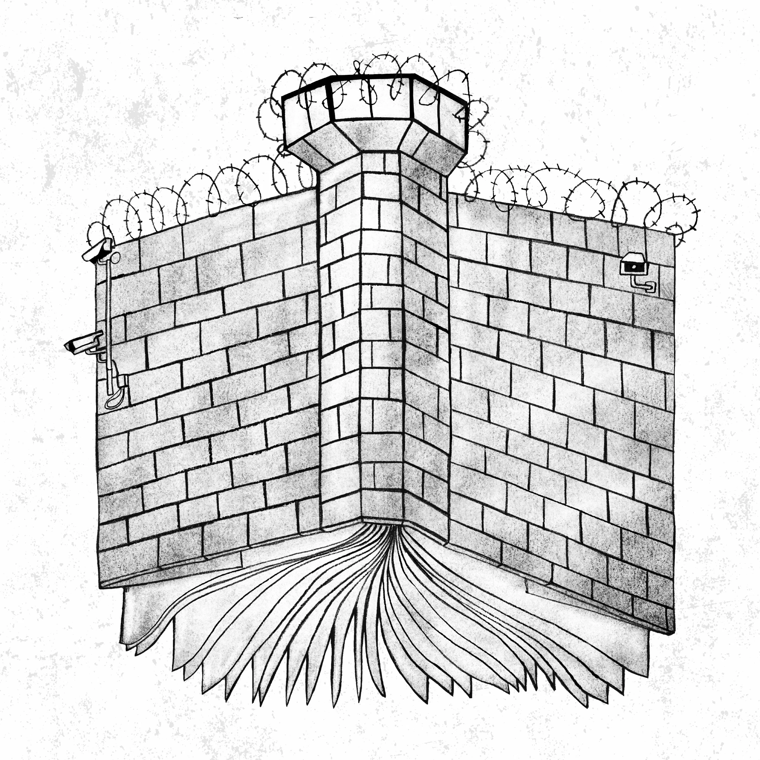 Editorial Illustration