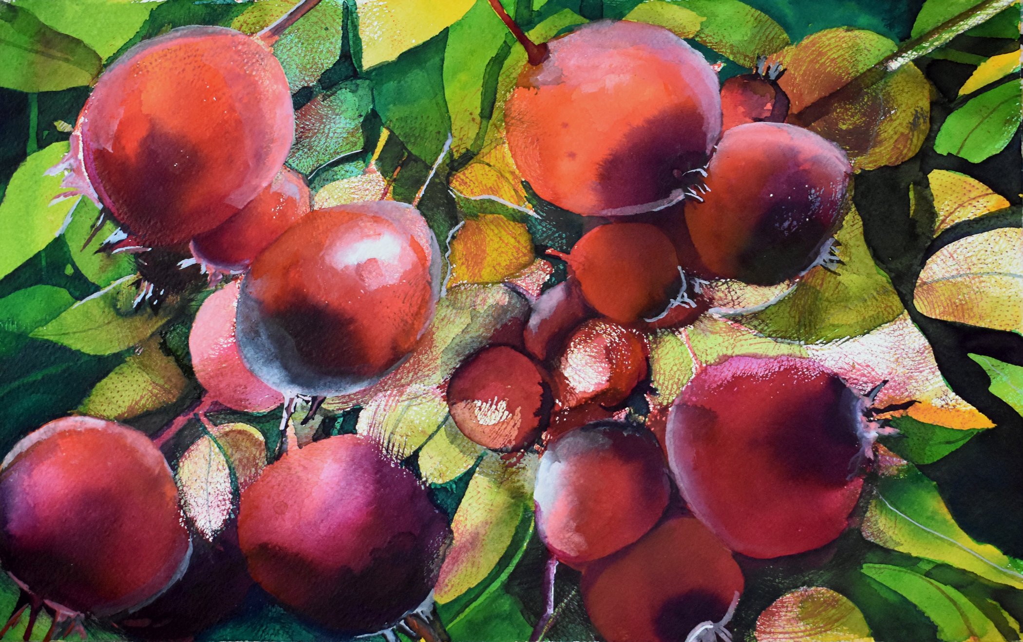 How Do You Paint That? Book One — Janet Nunn Watercolors