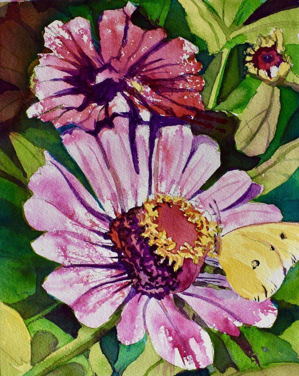 How Do You Paint That? Book 3 — Janet Nunn Watercolors