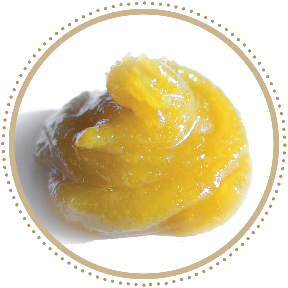 Products — Guild Extracts