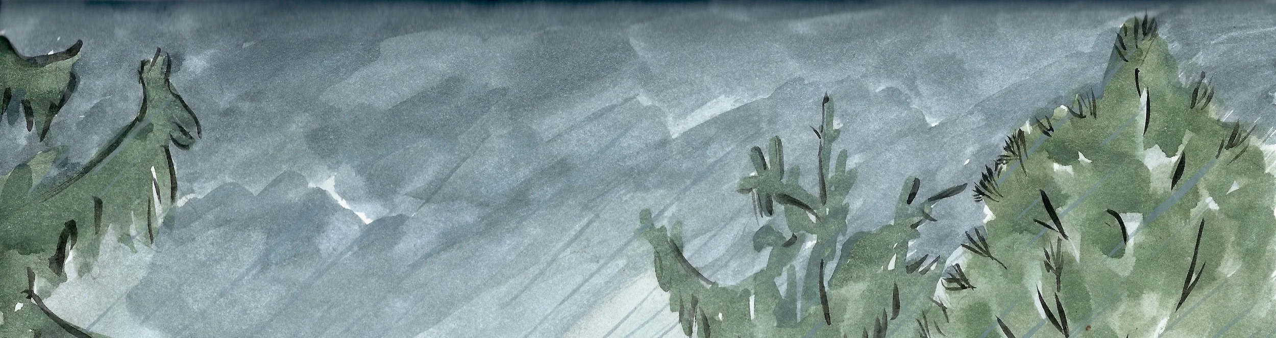 treesketch copy.jpeg