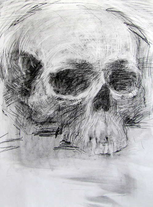 Skull Study