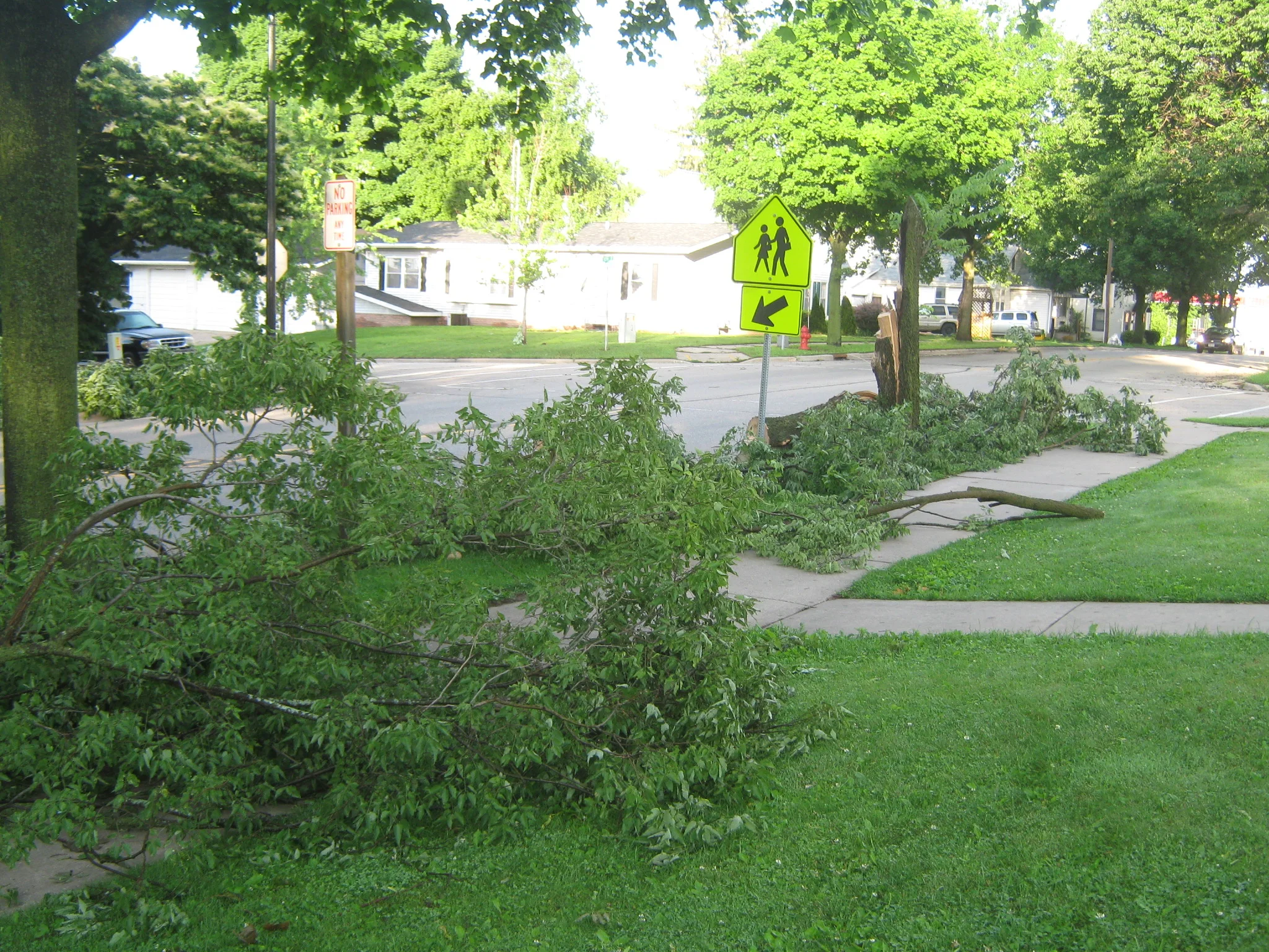 A Foundation to Stand On 