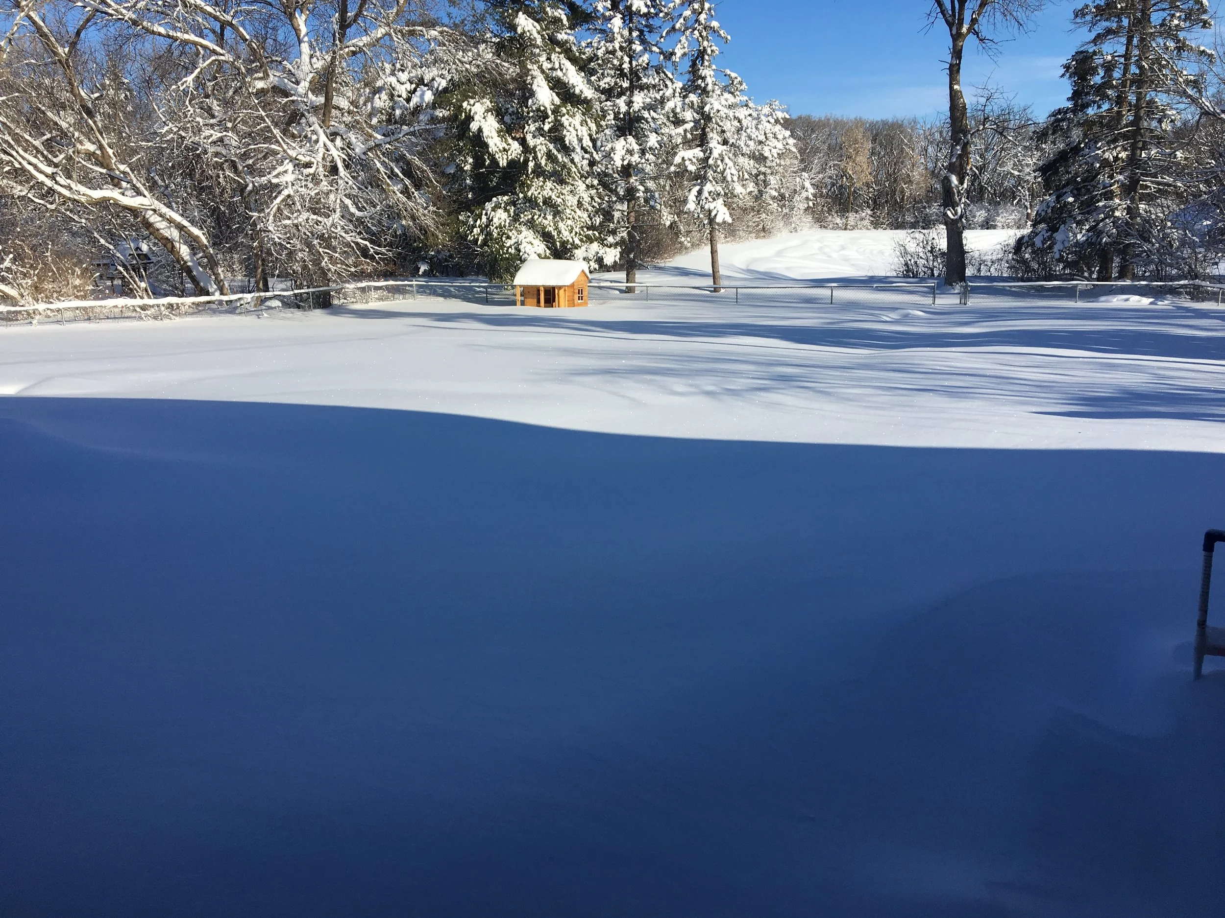 The new snow and the sun make for a beautiful morning.