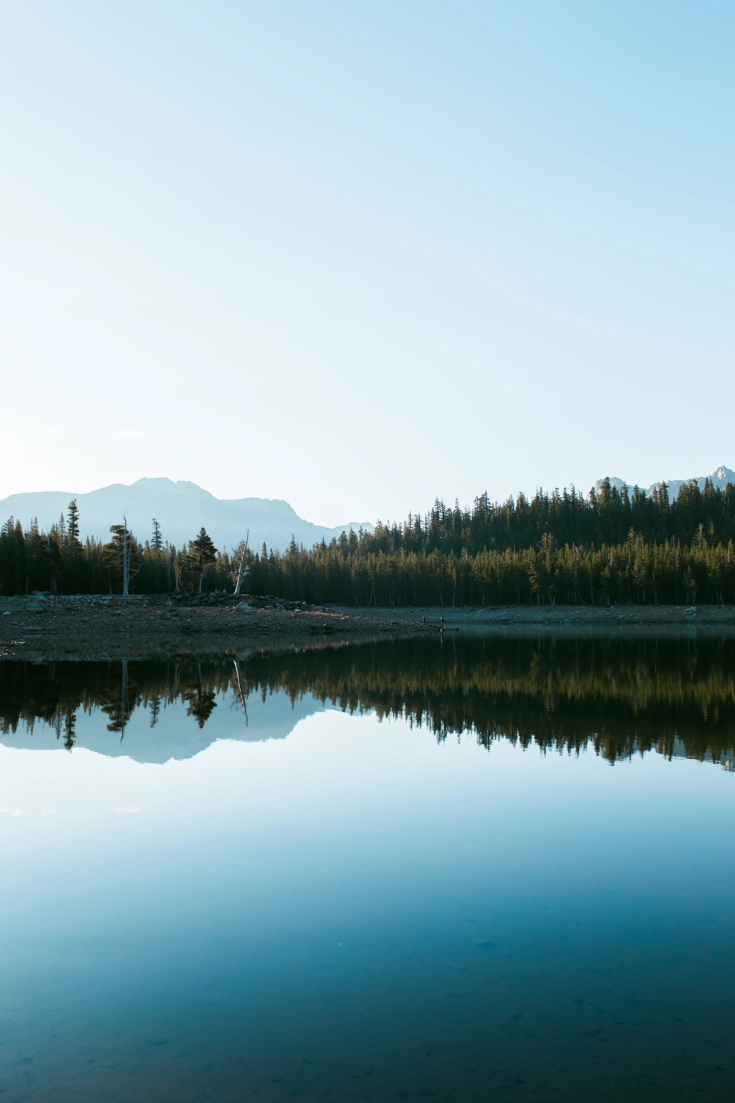 Deliberate Deceptions and Incredible Truths - Sunday, August 11th