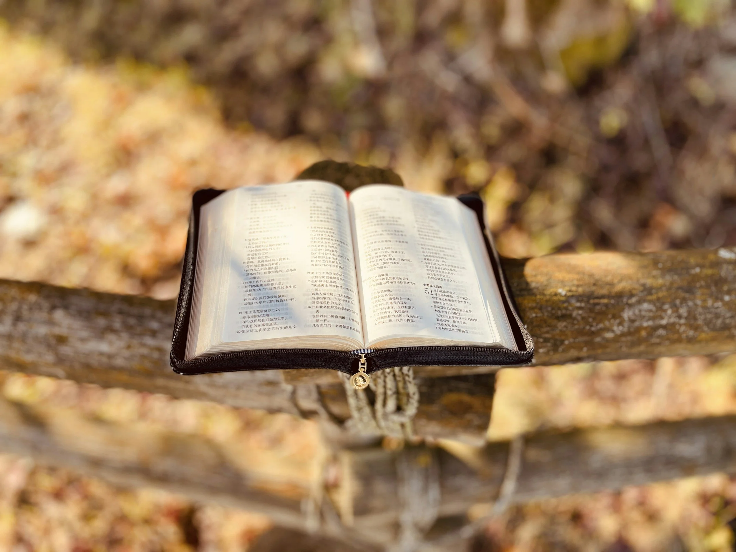 Bible Study