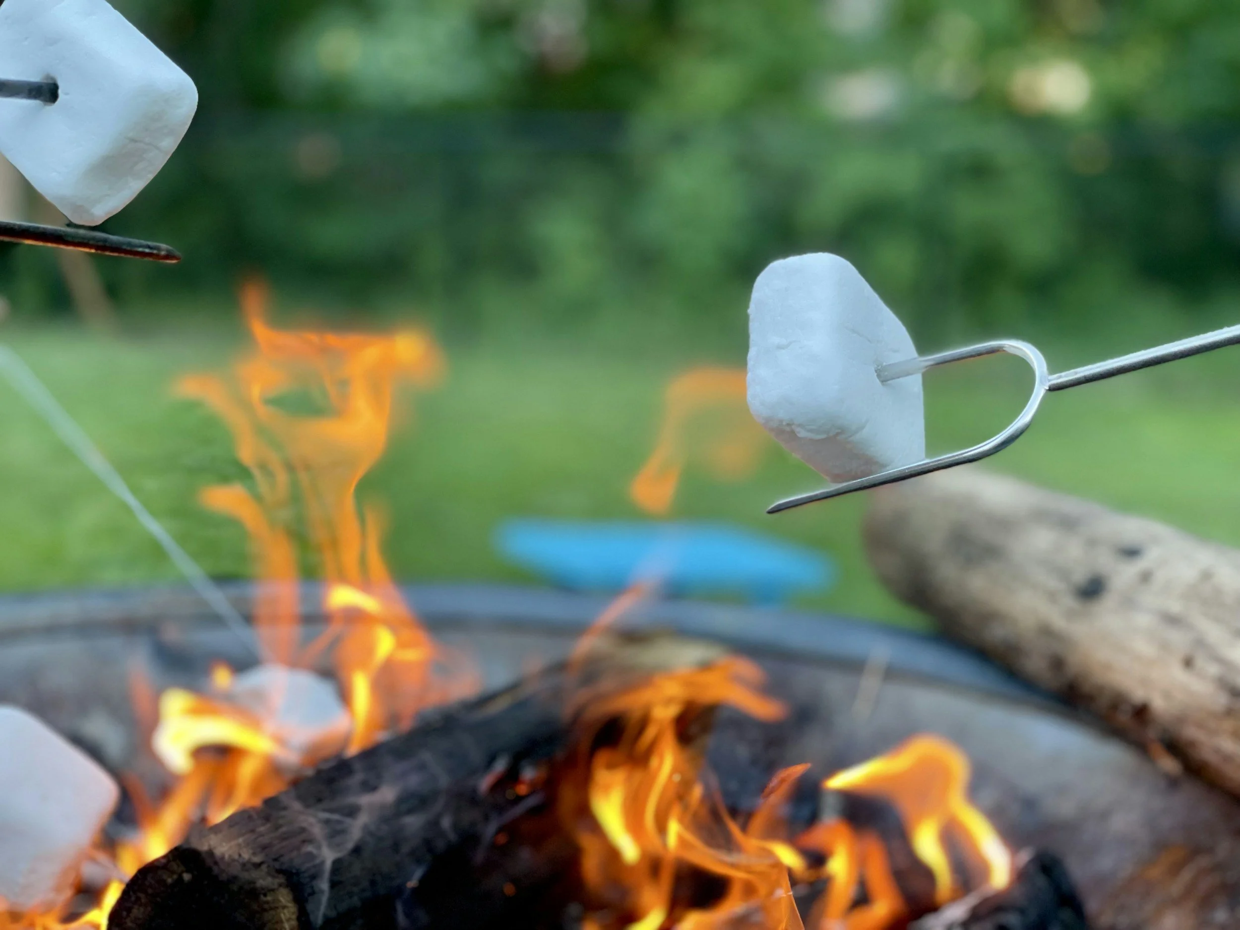 Friday Night Campfire