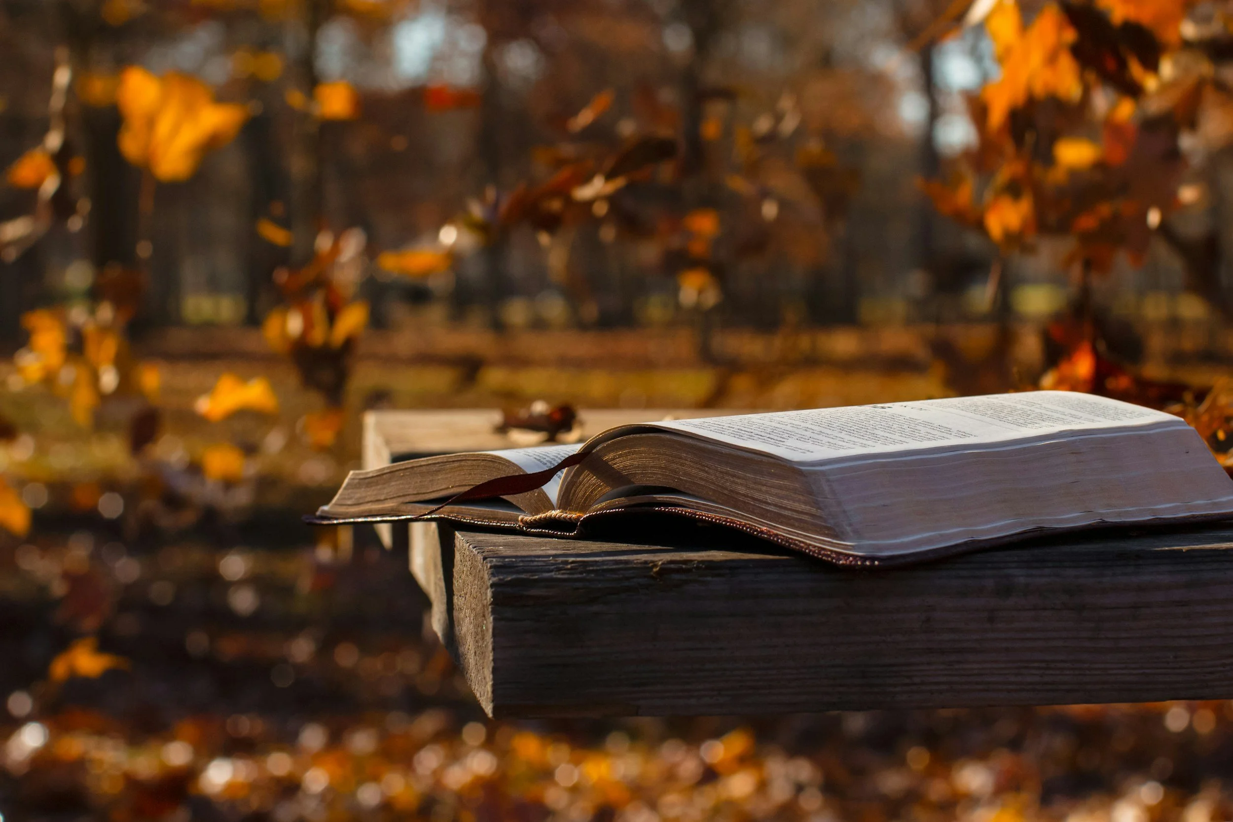 Men's Bible Study
