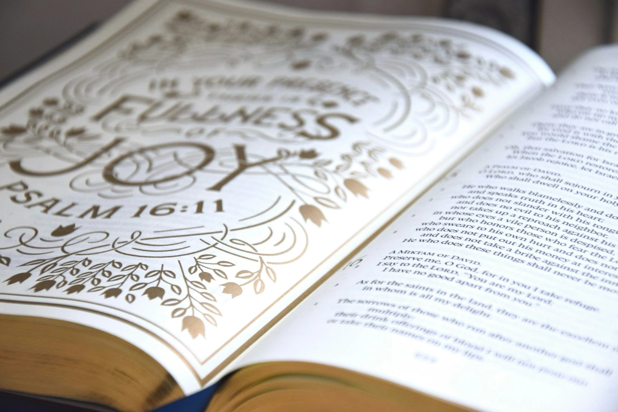 Women's Bible Study