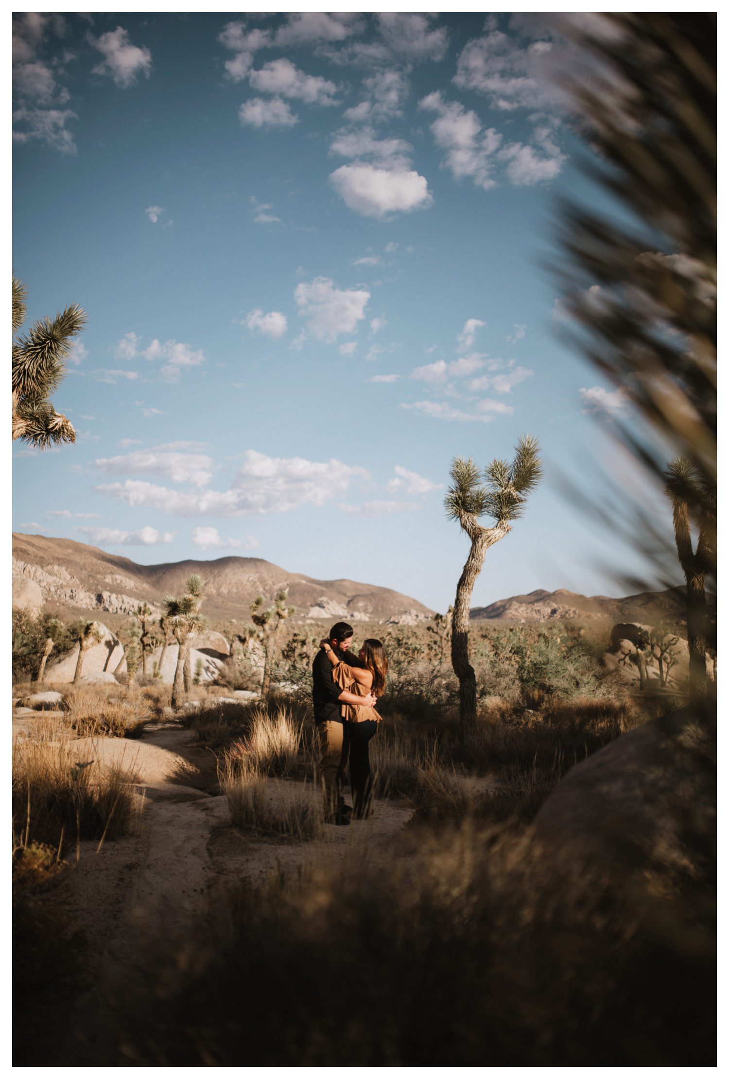 Joshua_Tree_Engagement_The_Singlers_0017.jpg