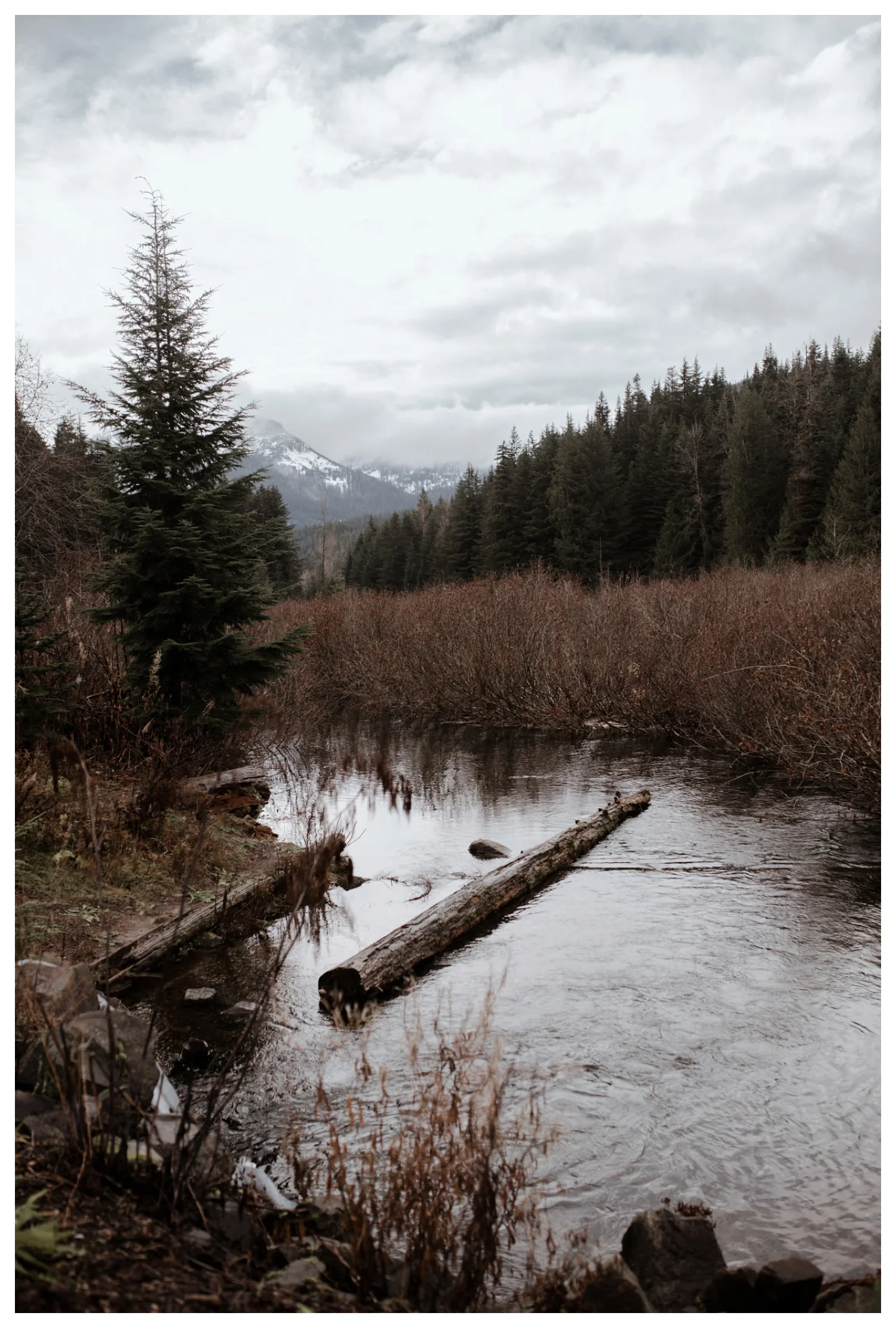 Snoqualmie_Pass_Engagement_Seattle_Wedding_Photographer_0021.jpg