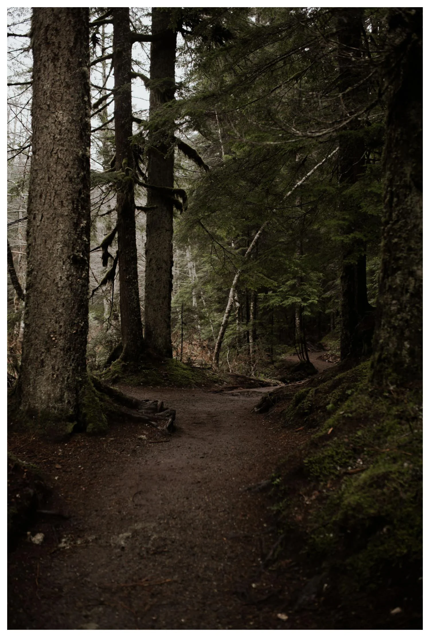 Snoqualmie_Pass_Engagement_Seattle_Wedding_Photographer_0035.jpg