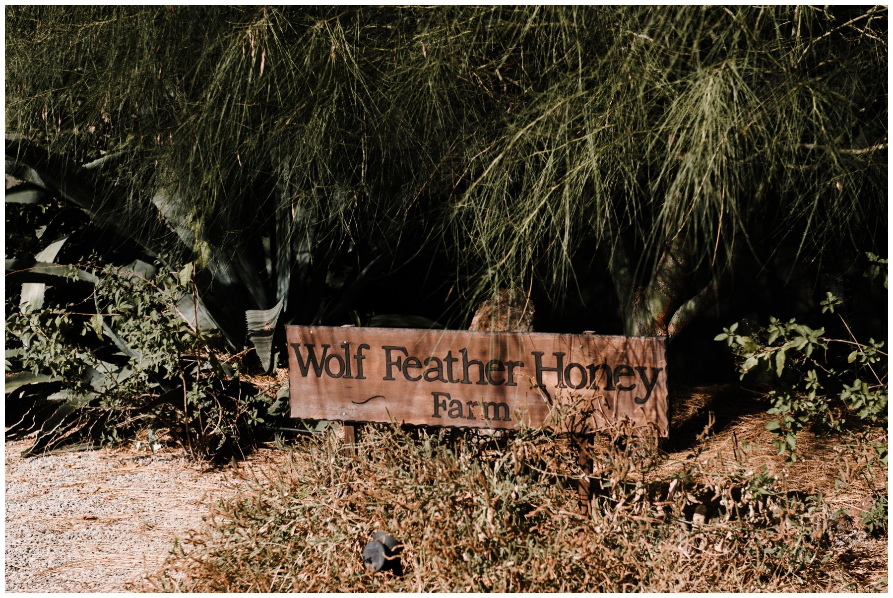 Temecula_Wedding_photographers_Wolf_Feather_Honey_0033.jpg