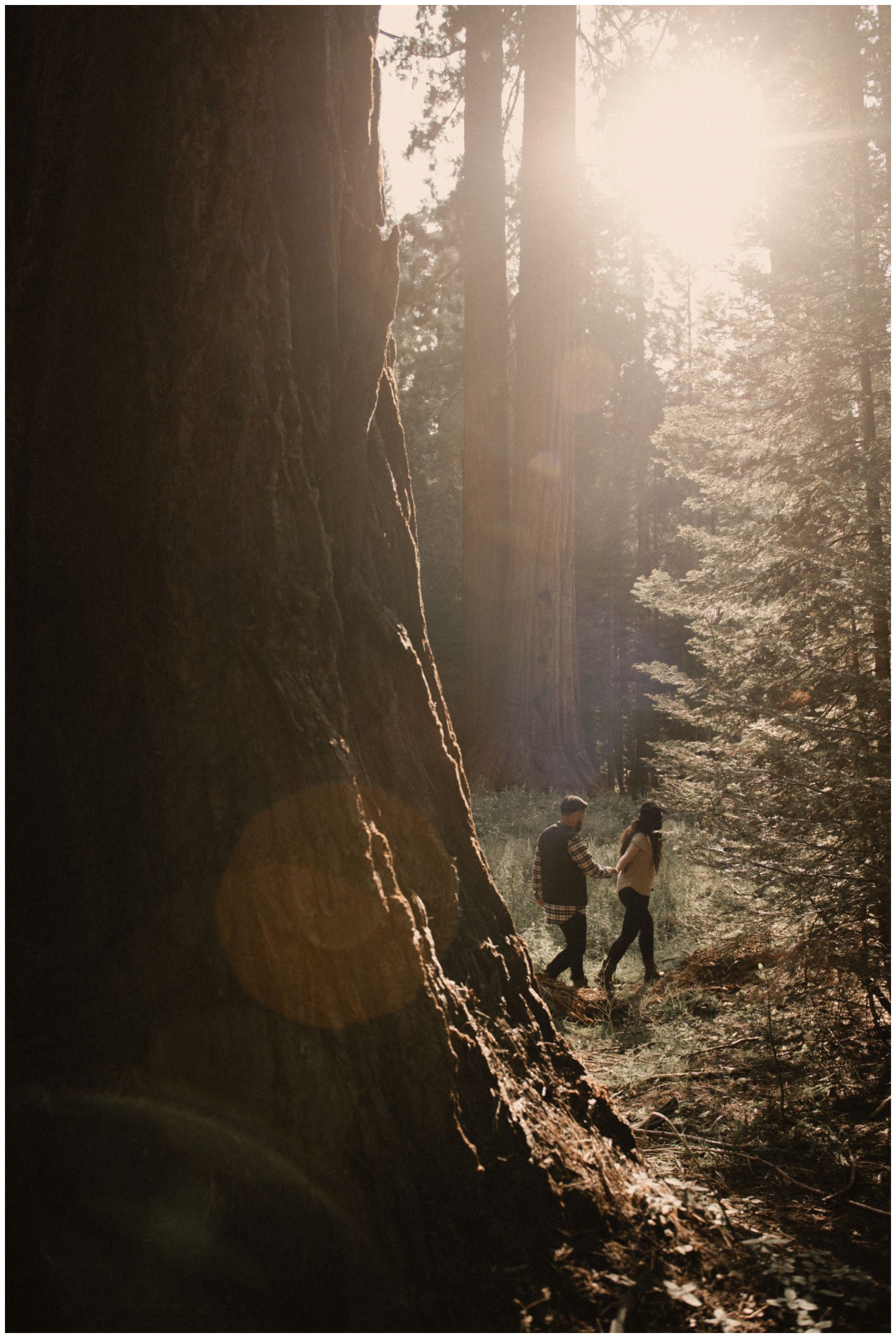 Sequoia_National_Park_Engagement__0002.jpg
