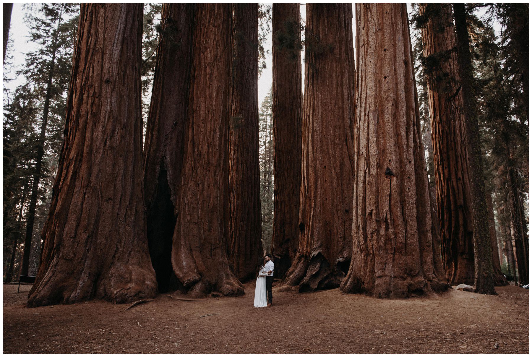 Sequoia_National_Park_Engagement__0019.jpg