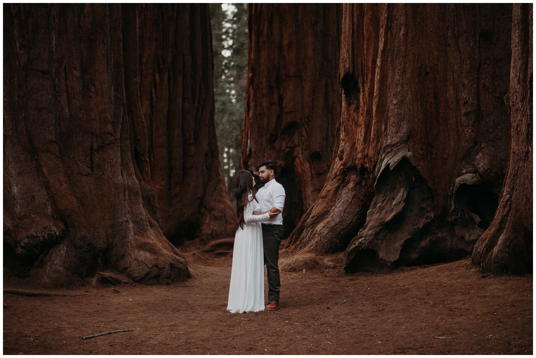 Sequoia_National_Park_Engagement__0021.jpg