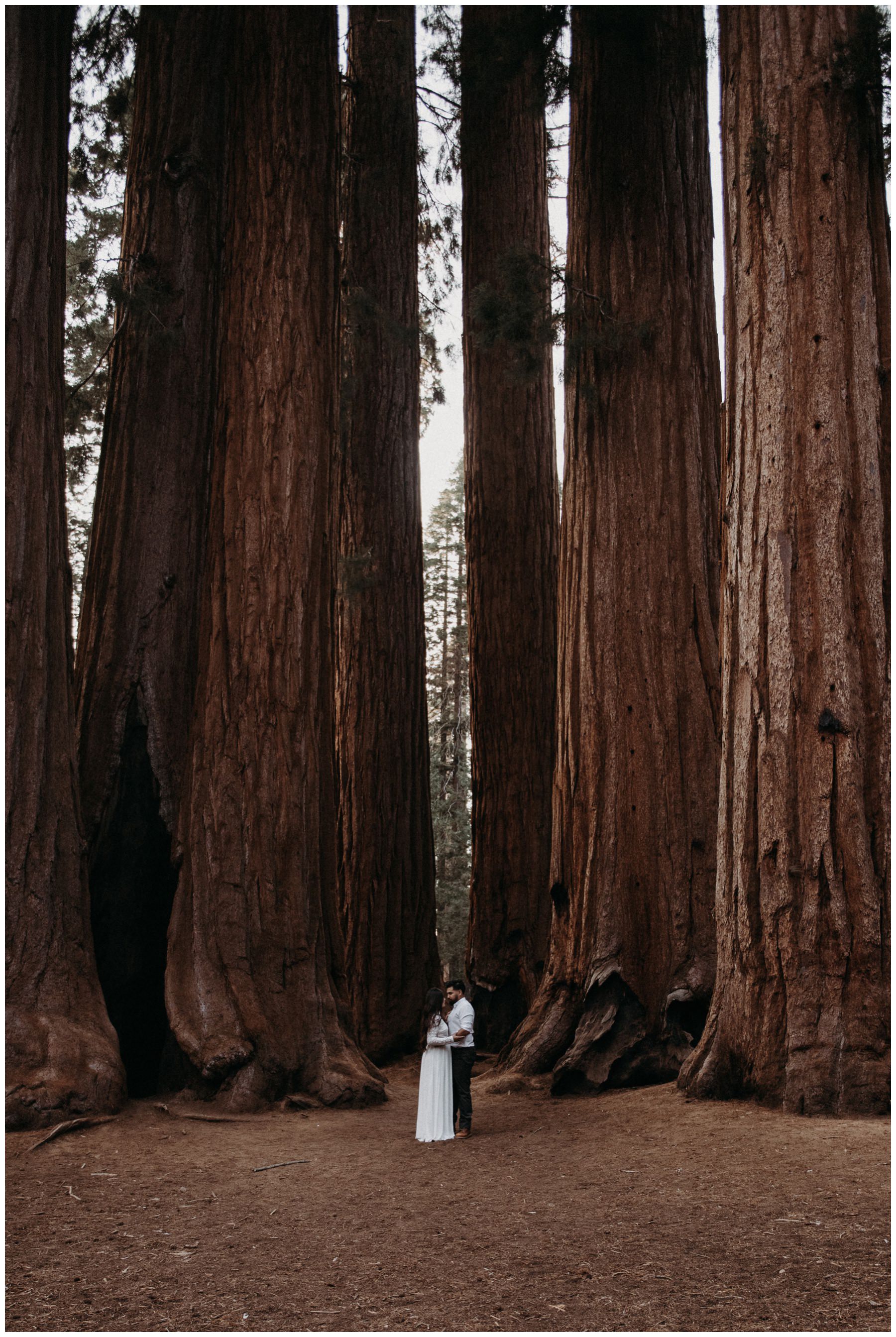 Sequoia_National_Park_Engagement__0020.jpg