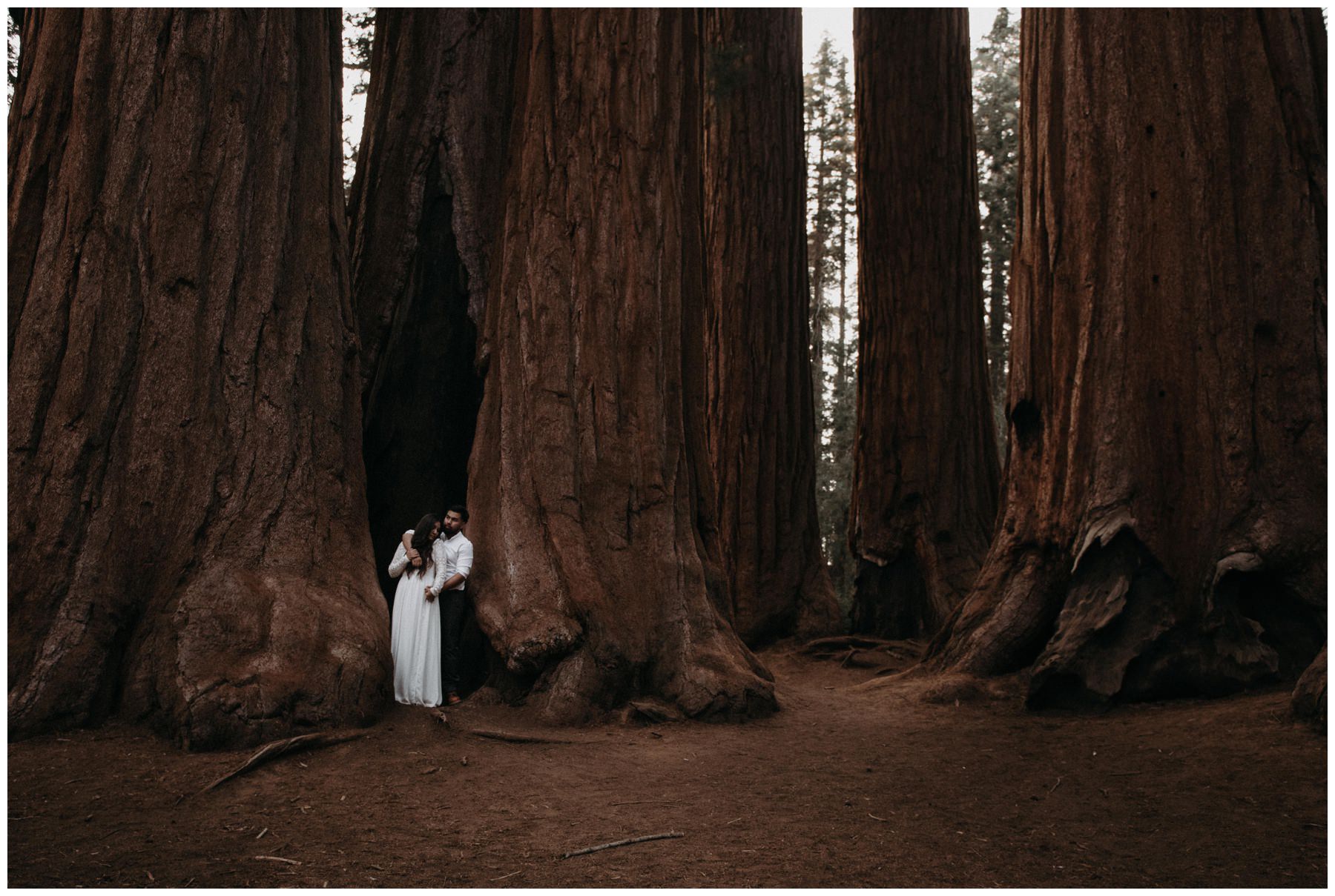 Sequoia_National_Park_Engagement__0027.jpg