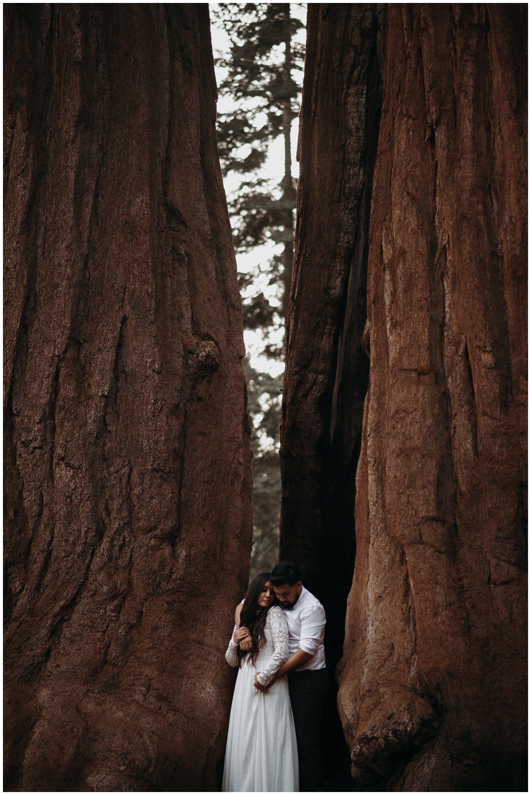 Sequoia_National_Park_Engagement__0026.jpg