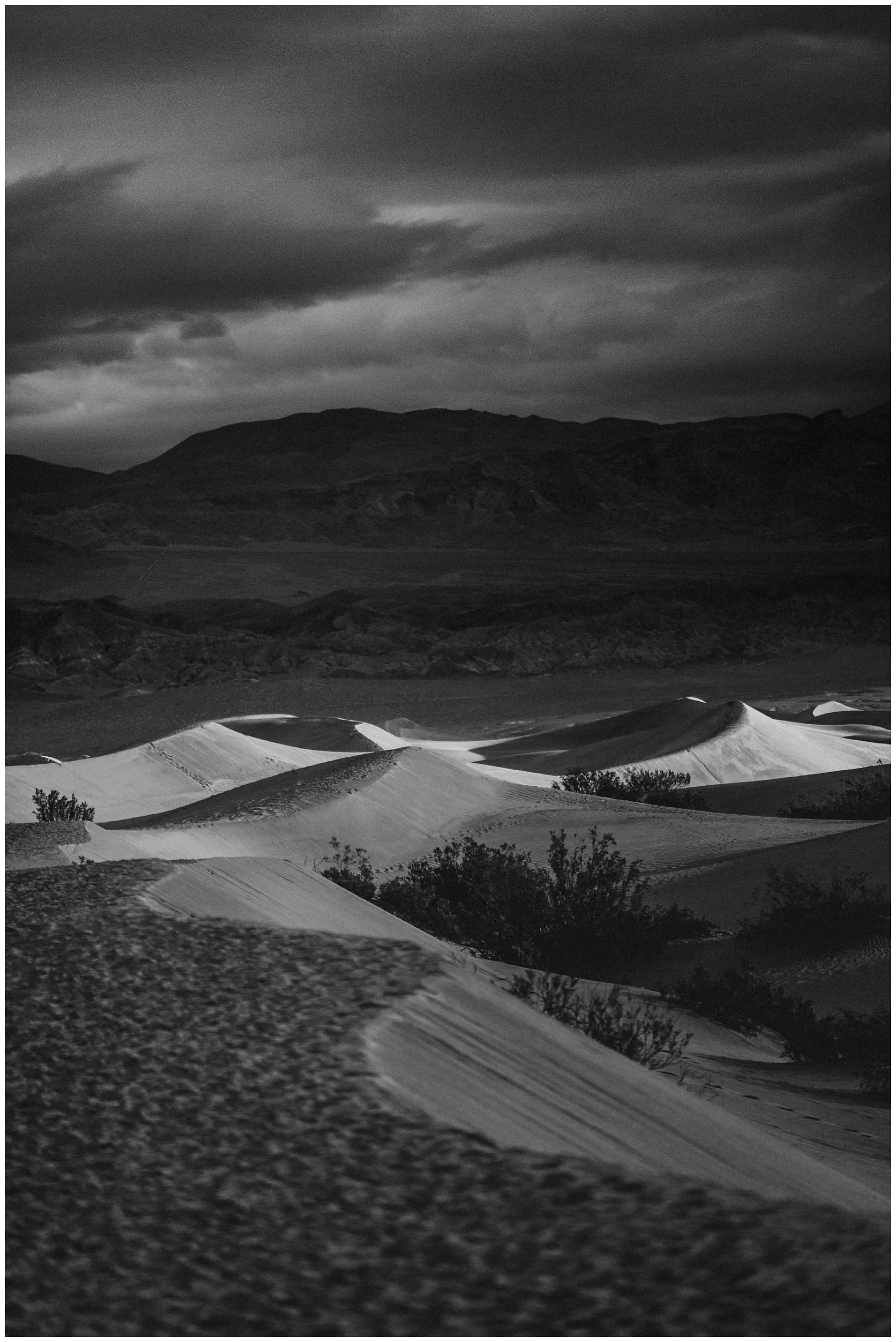 Death_Valley_Engagement__0064.jpg