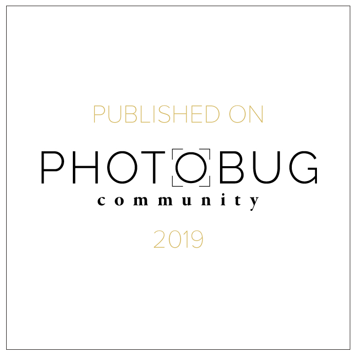 Photobug community