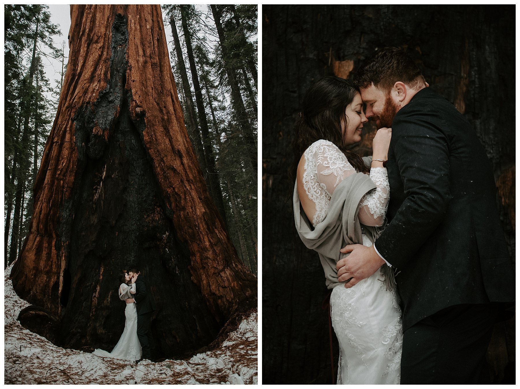 Sequoia_National_Park_Wedding_0235.jpg