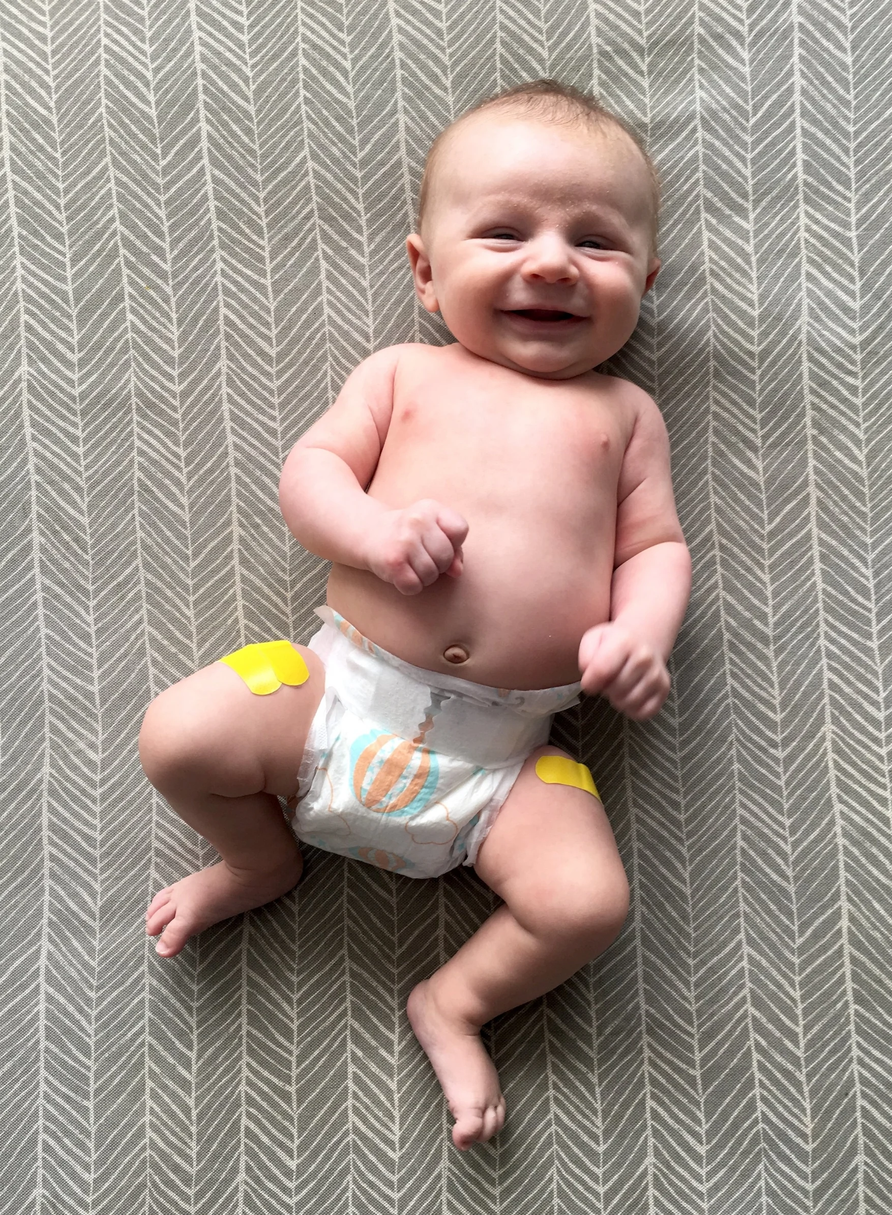 Wells 2 Months