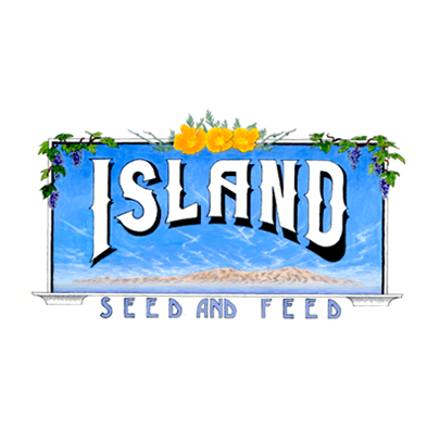 cropped-header-image3.png