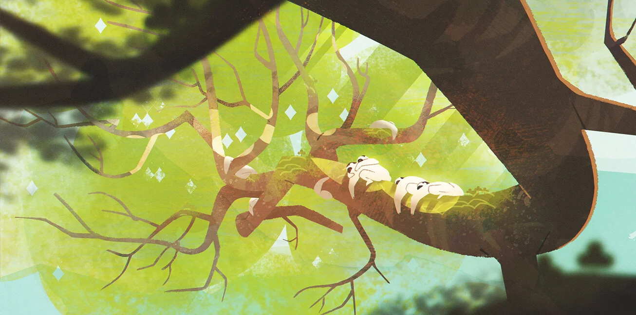 day5_nature_v04_small3.jpg