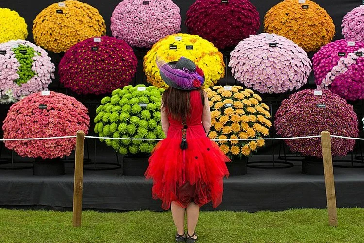 Brexit garden extravaganza