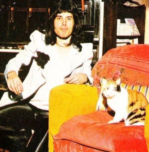 Freddie Mercury in Holland Road with Jerry…