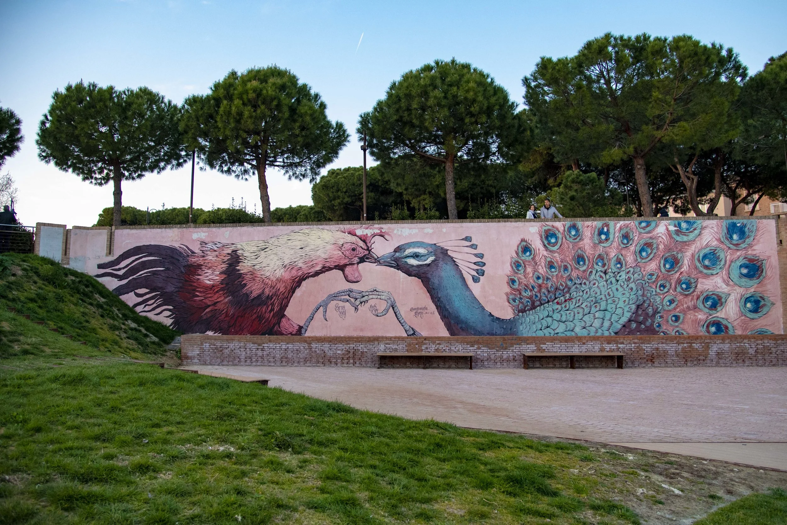 Murales di Ericailcane, Rimini. Foto di Valerio Greco