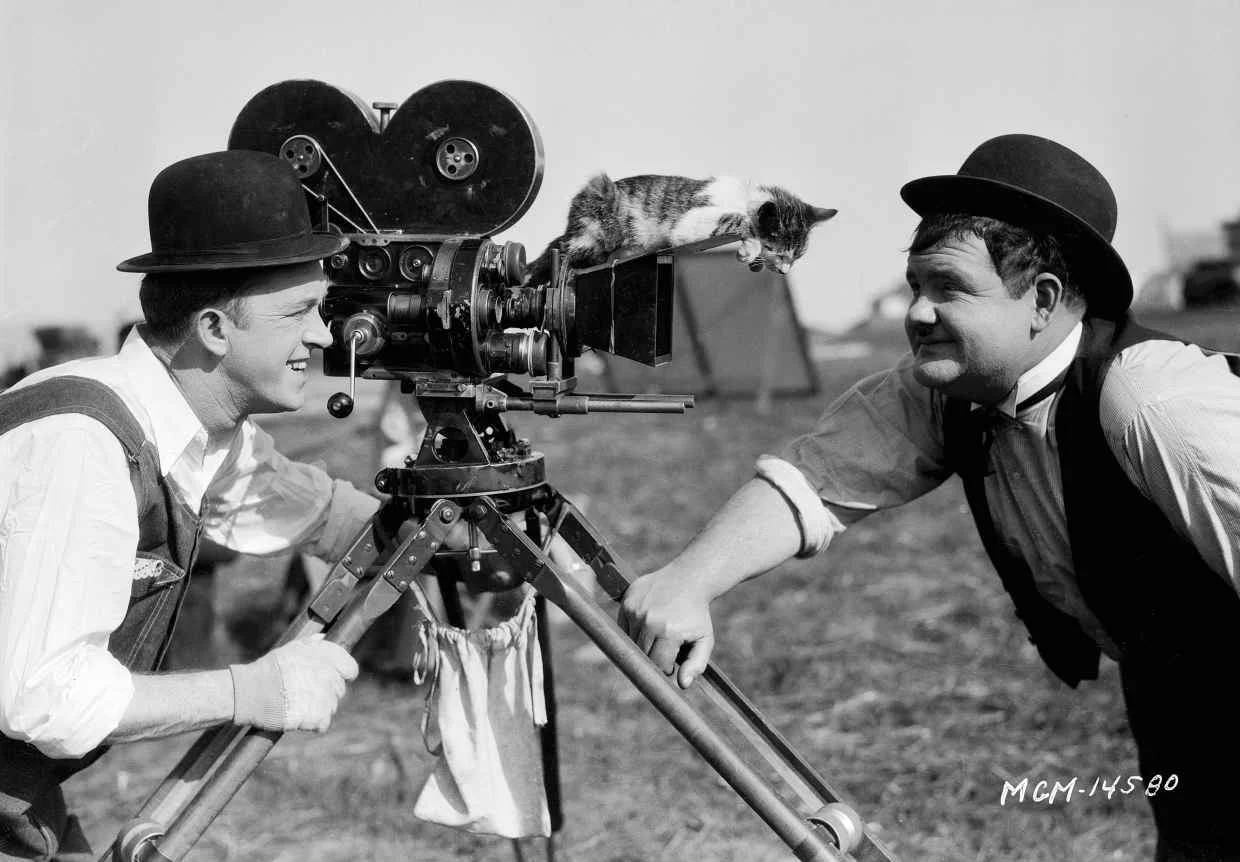 laurel-hardy-and-a-cat-on-the-camera.jpg