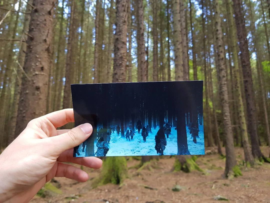 Tollymore Forest, Irlanda del Nord. Foto di Greta Cinalli. Fotogramma: Game of Thrones , HBO