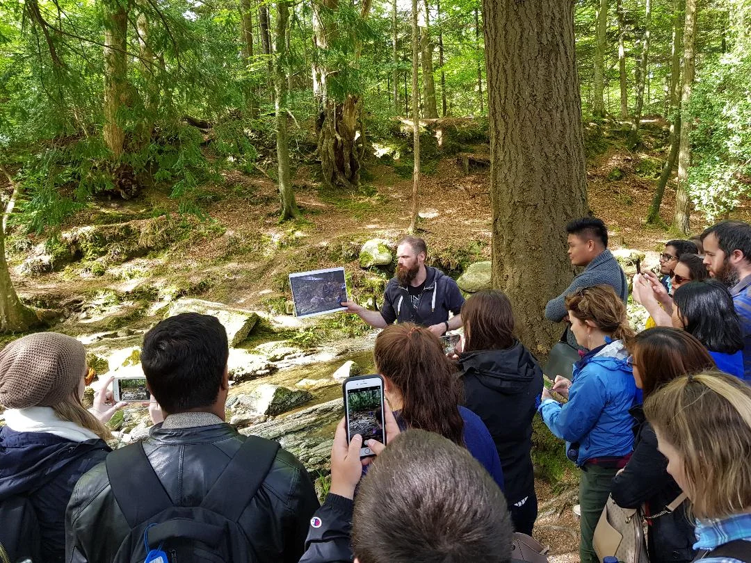 Tollymore Forest, Irlanda del Nord. Foto di Greta Cinalli