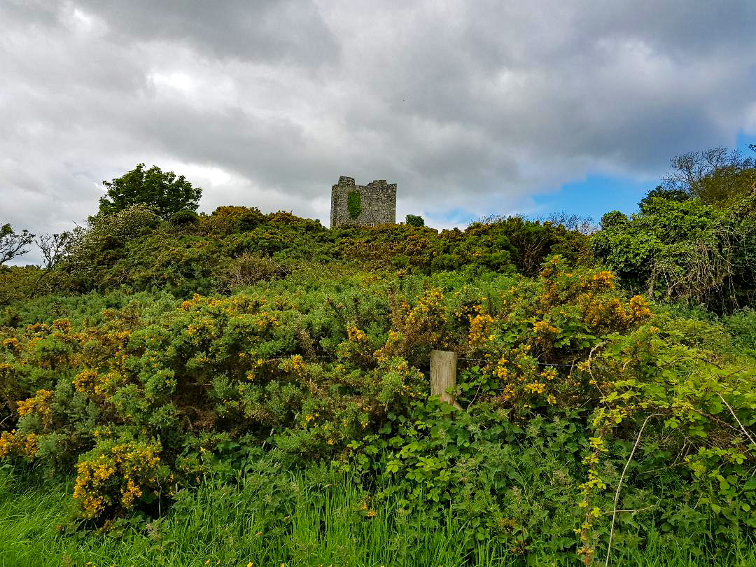 Castle Ward, Contea di Down, Irlanda del Nord. Foto di Greta Cinalli