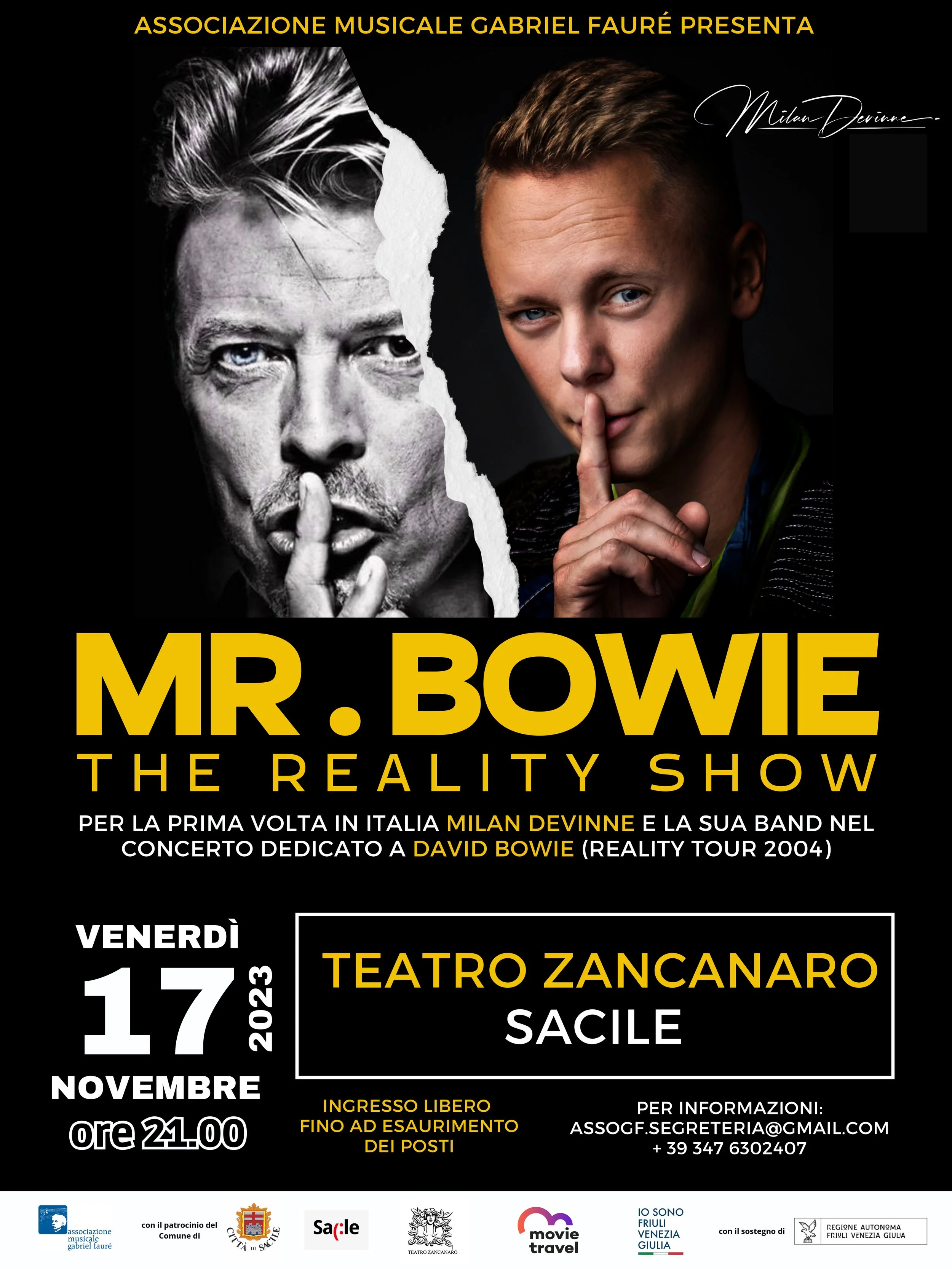 MR. BOWIE - THE REALITY SHOW