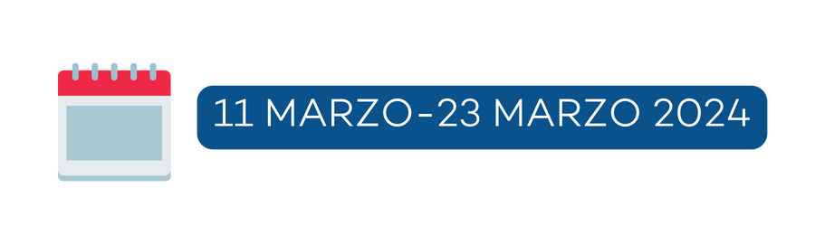 VIAGGIO IN GIAPPONE (2).png