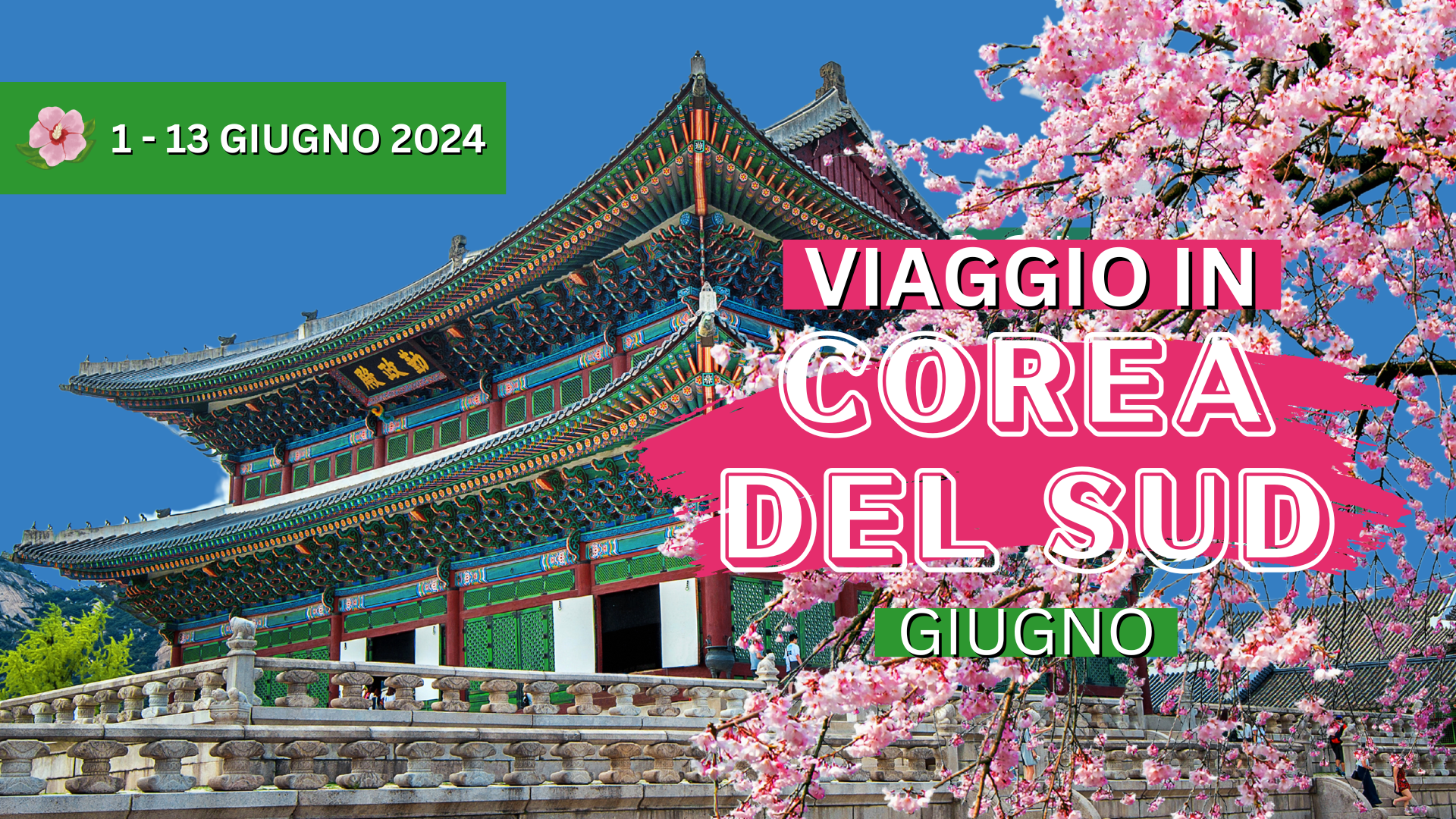 VIAGGIO IN COREA DEL SUD - GIUGNO