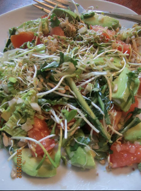 My three kids ate a sprout salad EVERY SINGLE DAY for lunch for two years STRAIGHT!!! Hundreds of years ago, we ate what was grown and we ate the same thing every day for each season. We would change up the homemade, RAW salad dressing we used each day and vary the sprouts from one day to another, but it was ALWAYS a sprout salad. When you're in a dis-eased state, this is a MUST to reset your body to survive what we may have done to it for YEARS!