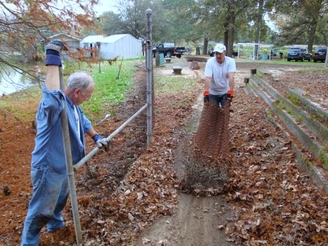 Fence removal.jpg